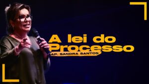 a-lei-do-processo